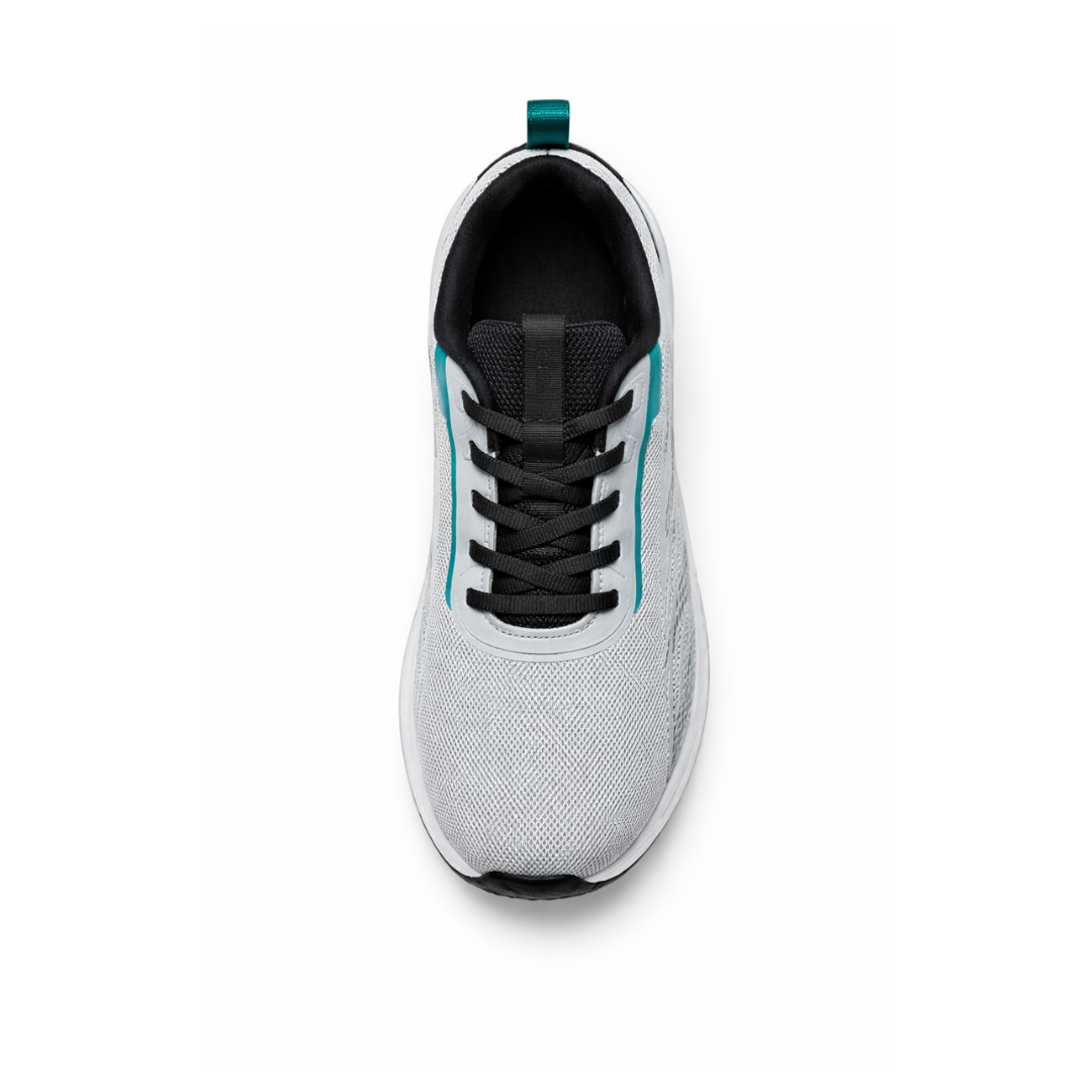 Frost Motion + Free Sock Pack